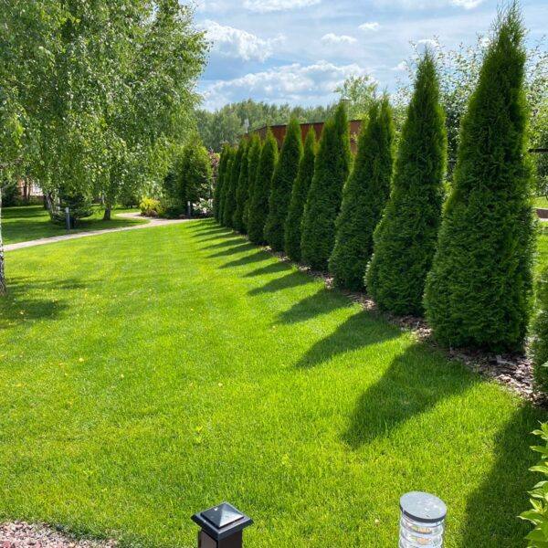 Грин Роял | Green Royal - Ландшафтный дизайн под ключ в Нижнем Новгороде, Нижегородской области и других регионах России
