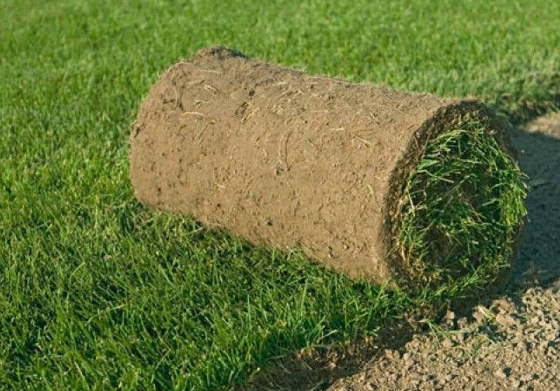 Грин Роял | Green Royal - Ландшафтный дизайн под ключ в Нижнем Новгороде, Нижегородской области и других регионах России