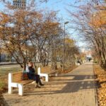 Грин Роял | Green Royal - Ландшафтный дизайн под ключ в Нижнем Новгороде, Нижегородской области и других регионах России