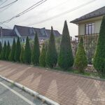 Грин Роял | Green Royal - Ландшафтный дизайн под ключ в Нижнем Новгороде, Нижегородской области и других регионах России