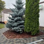 Грин Роял | Green Royal - Ландшафтный дизайн под ключ в Нижнем Новгороде, Нижегородской области и других регионах России
