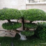 Грин Роял | Green Royal - Ландшафтный дизайн под ключ в Нижнем Новгороде, Нижегородской области и других регионах России