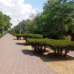 Грин Роял | Green Royal - Ландшафтный дизайн под ключ в Нижнем Новгороде, Нижегородской области и других регионах России