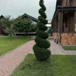 Грин Роял | Green Royal - Ландшафтный дизайн под ключ в Нижнем Новгороде, Нижегородской области и других регионах России